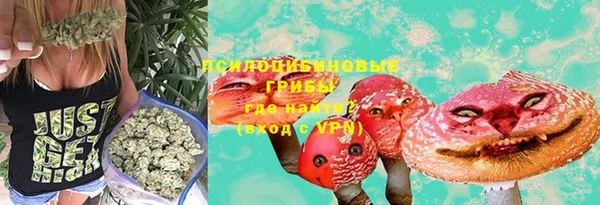 ГАЛЛЮЦИНОГЕННЫЕ ГРИБЫ Зеленодольск