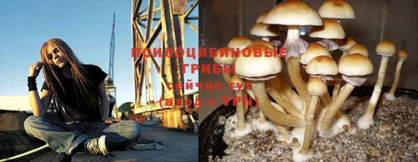 ГАЛЛЮЦИНОГЕННЫЕ ГРИБЫ Зеленодольск