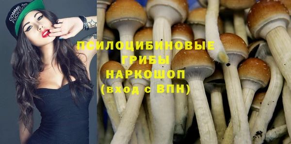 мяу мяу мука Зеленокумск
